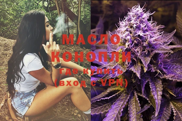 индика Михайловск
