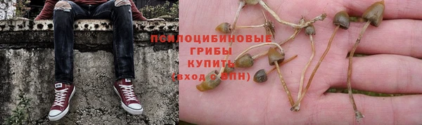 a pvp Михайловка