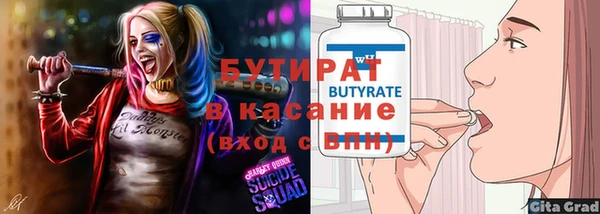 индика Михайловск