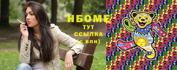 индика Михайловск
