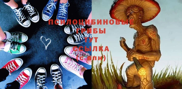 тгк Михайлов