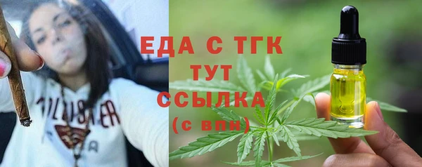 индика Михайловск