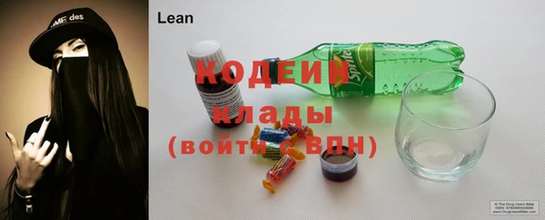 индика Михайловск