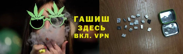 индика Михайловск