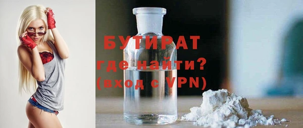 индика Михайловск