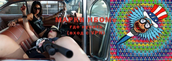 индика Михайловск