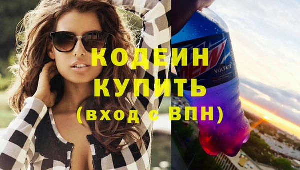 индика Михайловск