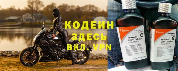 индика Михайловск